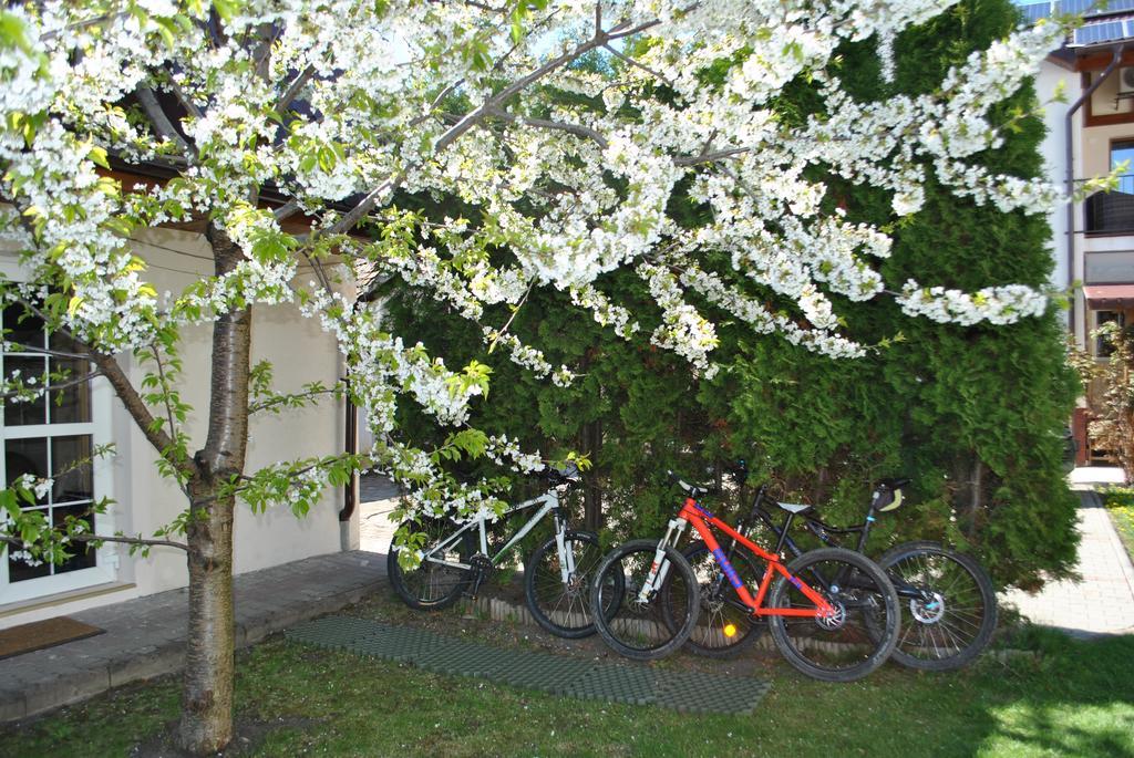 Apartament Beta Appartamento Bistriţa Esterno foto
